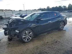 Nissan salvage cars for sale: 2020 Nissan Maxima SV