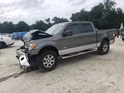 2013 Ford F150 Supercrew en venta en Ocala, FL