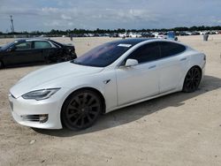 Salvage cars for sale at Arcadia, FL auction: 2019 Tesla Model S