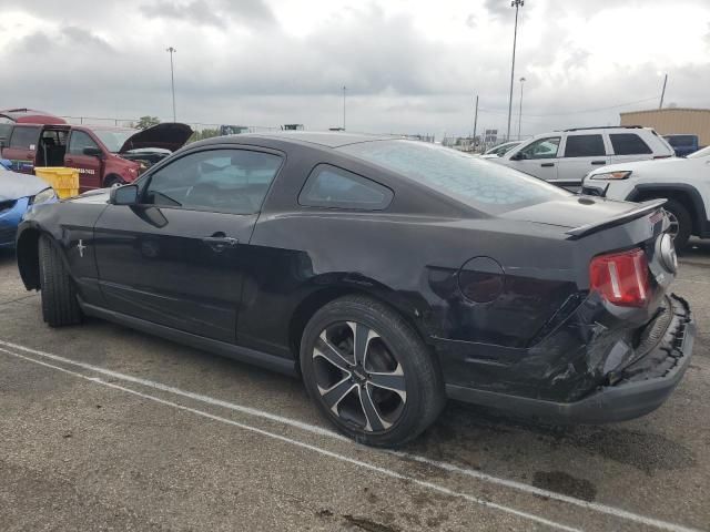 2010 Ford Mustang