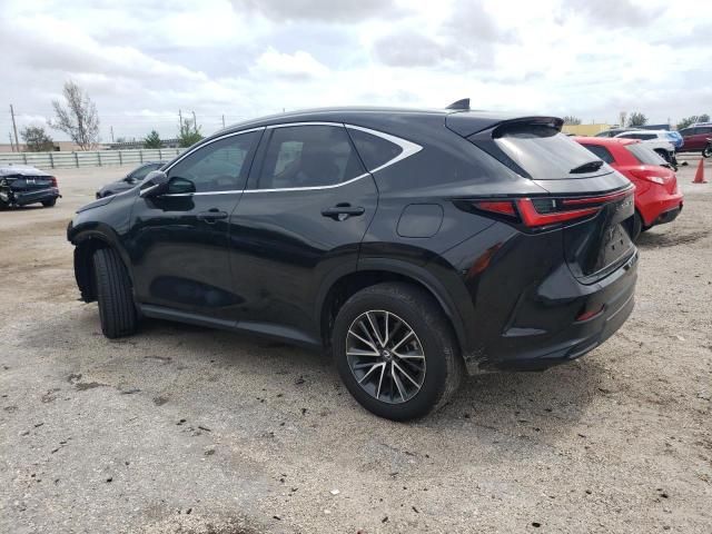 2024 Lexus NX 250 Premium