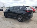 2024 Lexus NX 250 Premium