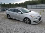 2013 Hyundai Sonata Hybrid