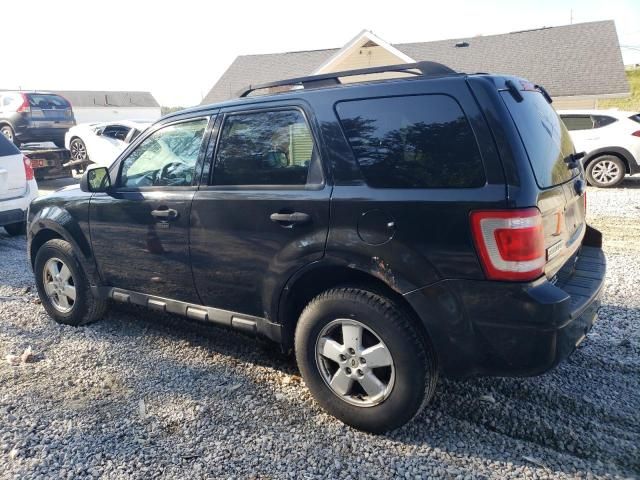 2011 Ford Escape XLT