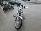 2005 Harley-Davidson XL1200 C