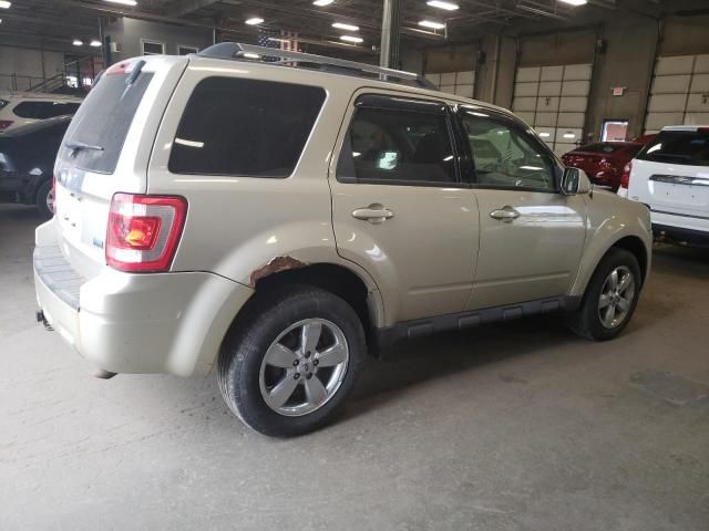 2010 Ford Escape Limited