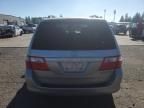 2005 Honda Odyssey EXL