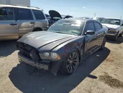 2014 Dodge Charger Super BEE en venta en Tucson, AZ