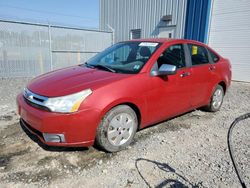 Salvage cars for sale from Copart Elmsdale, NS: 2009 Ford Focus SE