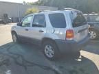 2005 Ford Escape XLT