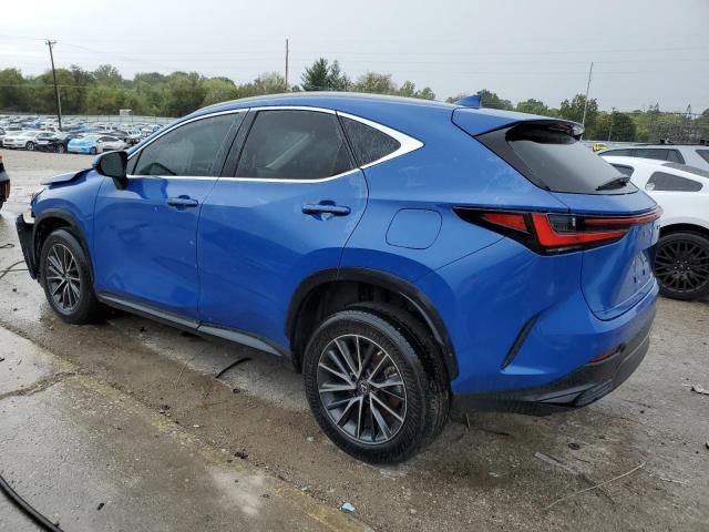 2022 Lexus NX 250