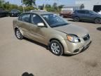 2011 KIA Rio Base