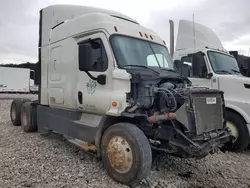 Freightliner Cascadia 113 Vehiculos salvage en venta: 2017 Freightliner Cascadia 113