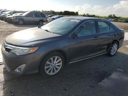 Salvage cars for sale at West Palm Beach, FL auction: 2012 Toyota Camry SE