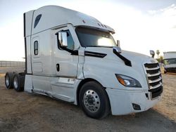 Salvage trucks for sale at Fresno, CA auction: 2021 Freightliner Cascadia 126