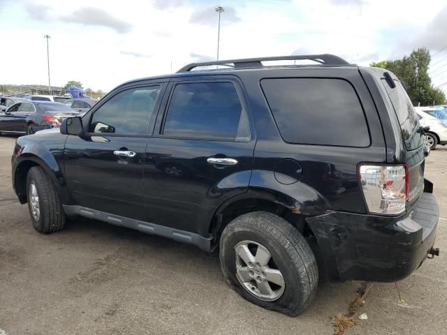 2010 Ford Escape XLT