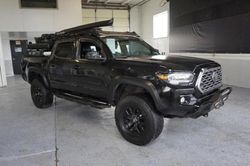 Salvage cars for sale from Copart Magna, UT: 2021 Toyota Tacoma Double Cab