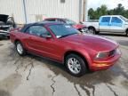 2006 Ford Mustang