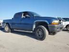 2004 Dodge Dakota Quad Sport