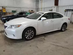 Lexus Vehiculos salvage en venta: 2014 Lexus ES 300H