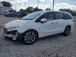 Salvage cars for sale at Columbus, OH auction: 2024 Honda Odyssey EXL