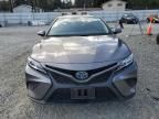 2019 Toyota Camry Hybrid