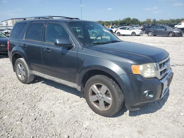 2009 Ford Escape Limited