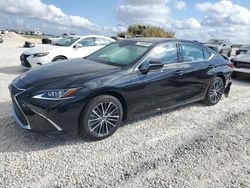 Lexus salvage cars for sale: 2024 Lexus ES 300H Base