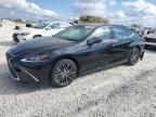 2024 Lexus ES 300H Base