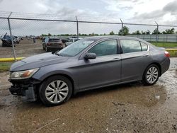 Honda salvage cars for sale: 2013 Honda Accord Touring