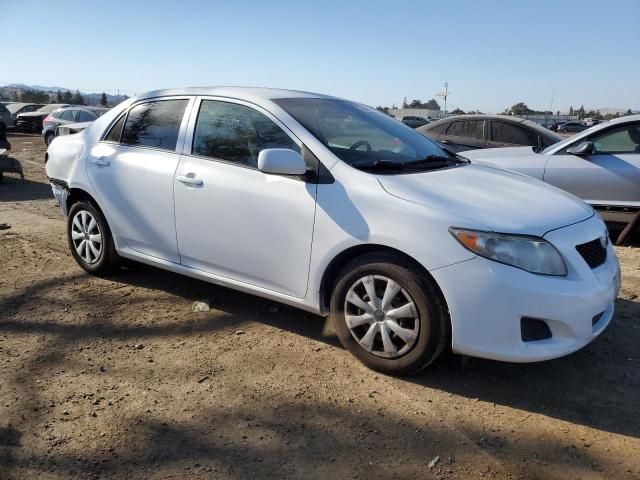 2009 Toyota Corolla Base