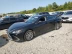 2021 Lexus ES 350 Base