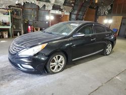 Compre carros salvage a la venta ahora en subasta: 2013 Hyundai Sonata SE