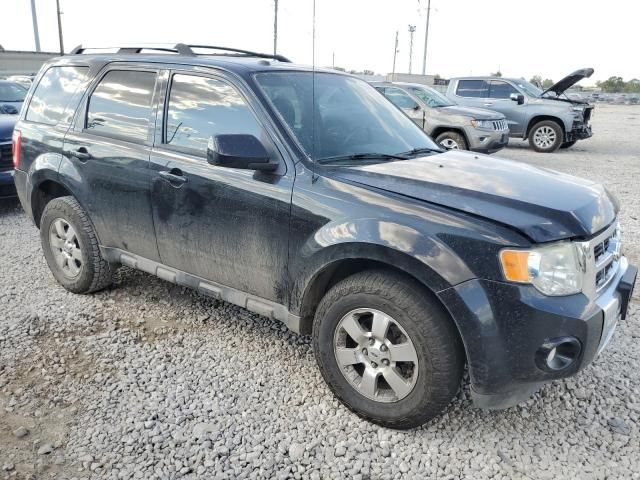 2011 Ford Escape Limited