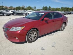 Salvage cars for sale at Columbus, OH auction: 2014 Lexus ES 350