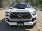 2023 Toyota Tacoma Double Cab