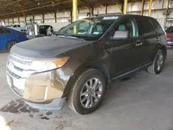 Salvage cars for sale at Phoenix, AZ auction: 2011 Ford Edge SEL