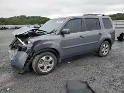 Salvage cars for sale at Gastonia, NC auction: 2013 Honda Pilot EXL