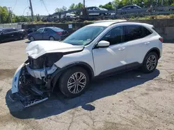 Ford salvage cars for sale: 2020 Ford Escape SEL