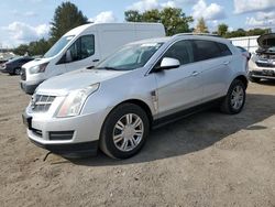 Salvage cars for sale at Finksburg, MD auction: 2011 Cadillac SRX Luxury Collection