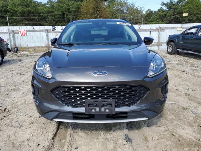 2020 Ford Escape SE Sport