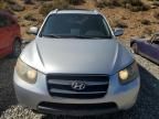 2007 Hyundai Santa FE SE