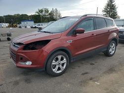 SUV salvage a la venta en subasta: 2014 Ford Escape SE