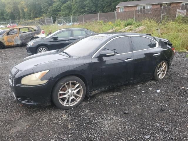 2009 Nissan Maxima S