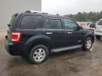 2008 Ford Escape Limited