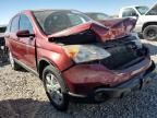 2007 Honda CR-V EXL