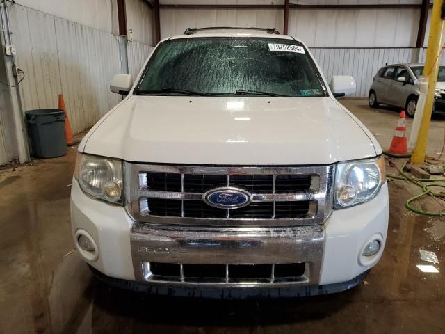 2011 Ford Escape Limited