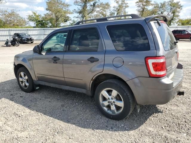 2009 Ford Escape XLT