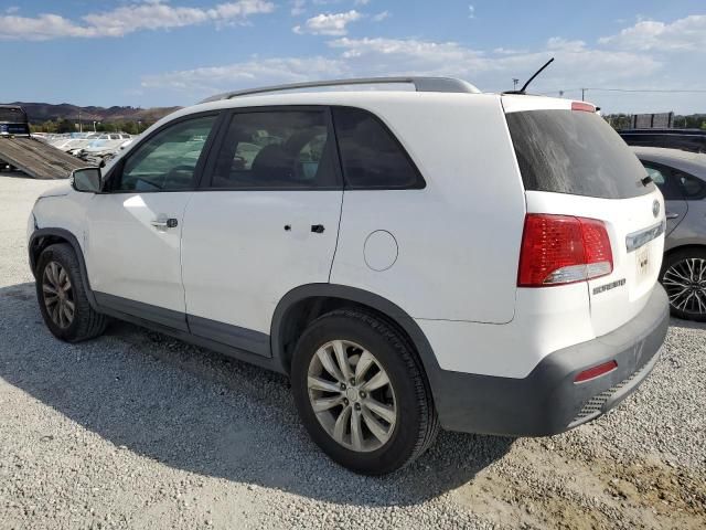 2011 KIA Sorento Base