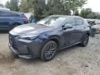 2022 Lexus NX 250